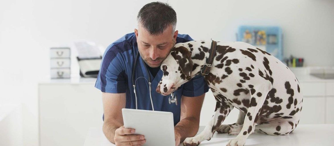 Best Online Veterinarians-WildCreaturey