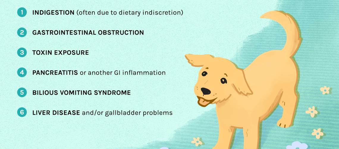 Bilious Vomiting Syndrome in Dogs-WildCreaturey