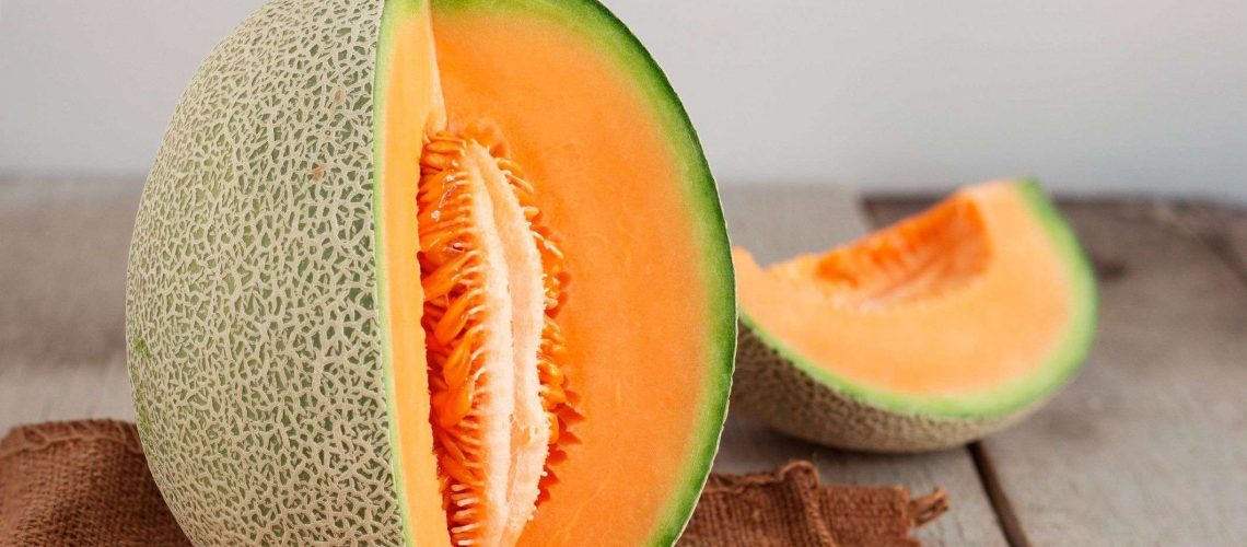 Can Dogs Eat Cantaloupe?-WildCreaturey