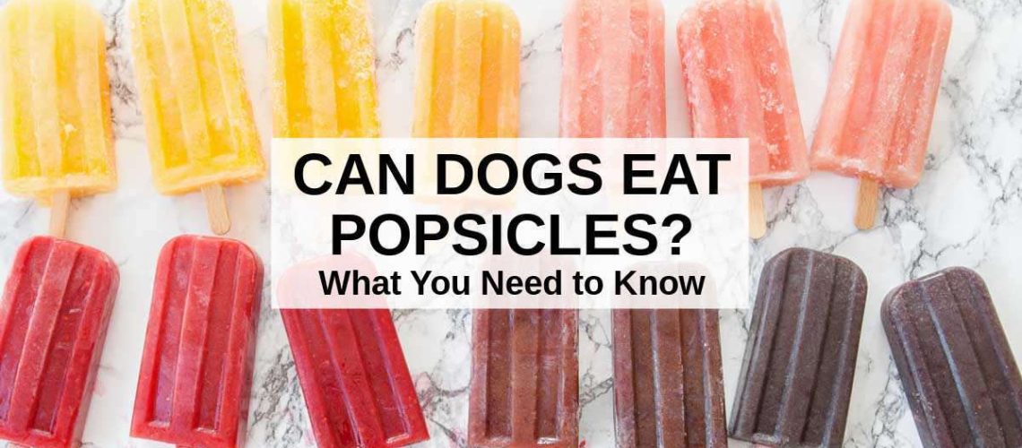 Can Dogs Eat Popsicles?-WildCreaturey