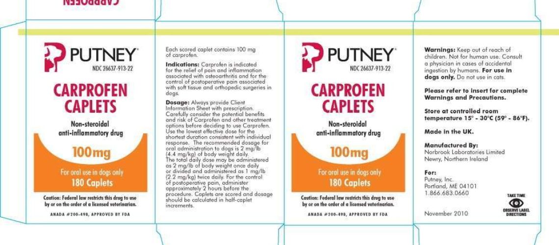 Carprofen for Dogs: Uses Dosage and Side Effects-WildCreaturey