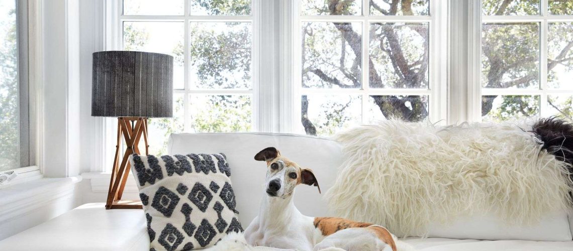 Chic Ways to Make Your Dog's Space Work With Your Aesthetic-WildCreaturey