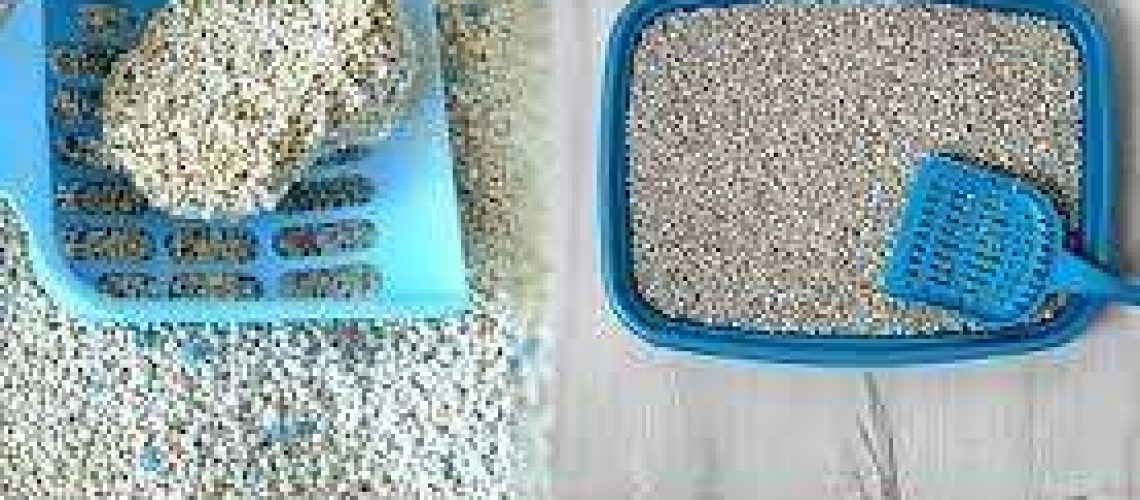 Clumping Cat Litter Vs Non-Clumping Cat Litter-WildCreaturey