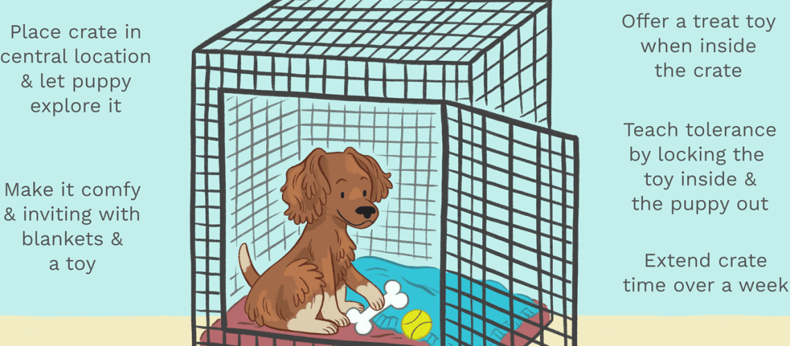 Crate Training Your Puppy-WildCreaturey