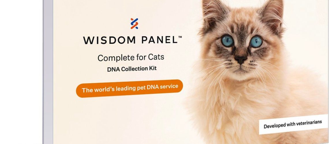 Discover the Best Cat DNA Tests