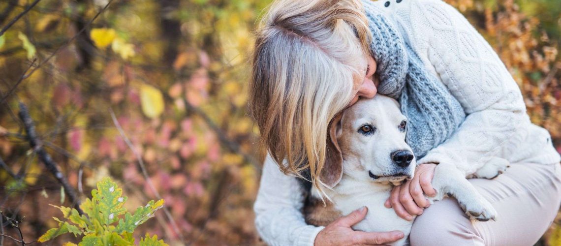 Do Older Dogs Get Menopause?-WildCreaturey