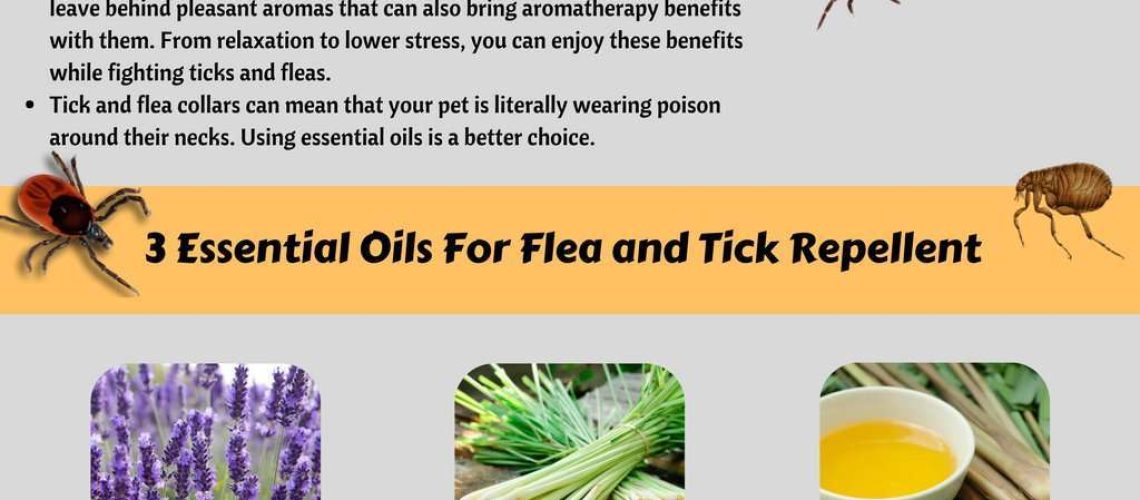 Does Peppermint Oil Kill Fleas?-WildCreaturey