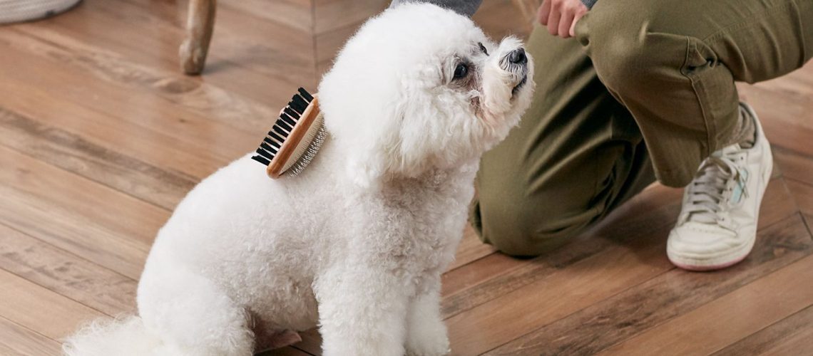 Dog Coat Types and Grooming Tips-WildCreaturey