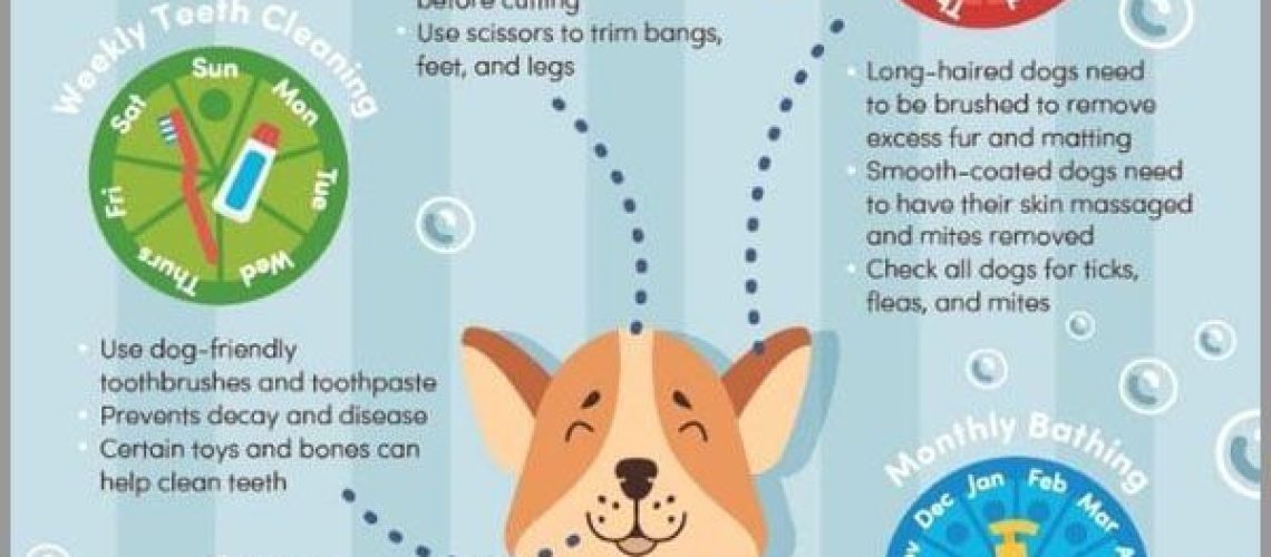 Dog Grooming Basics-WildCreaturey