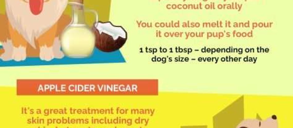 Dog Yeast Infection Home Remedy-WildCreaturey