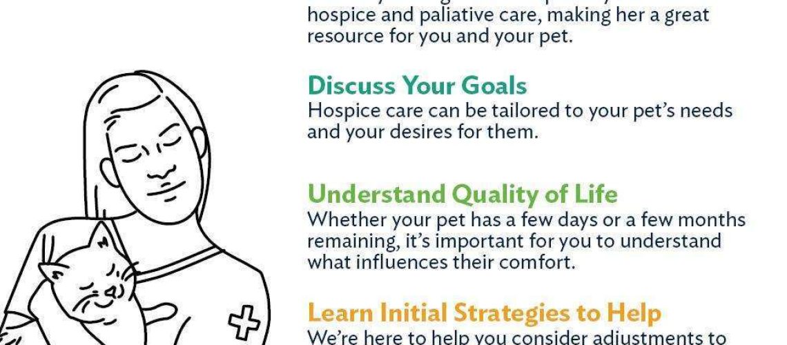 Everything You Need to Know About Pet Hospice Care-WildCreaturey