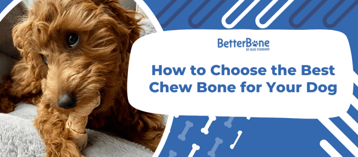 Finding the Best Dog Chews-WildCreaturey