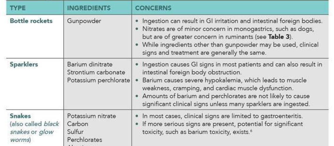 Firework Toxicity in Dogs-WildCreaturey