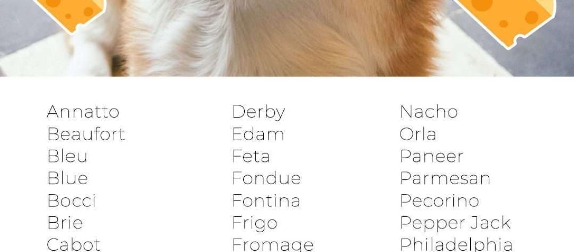 Food Names for Dogs-WildCreaturey