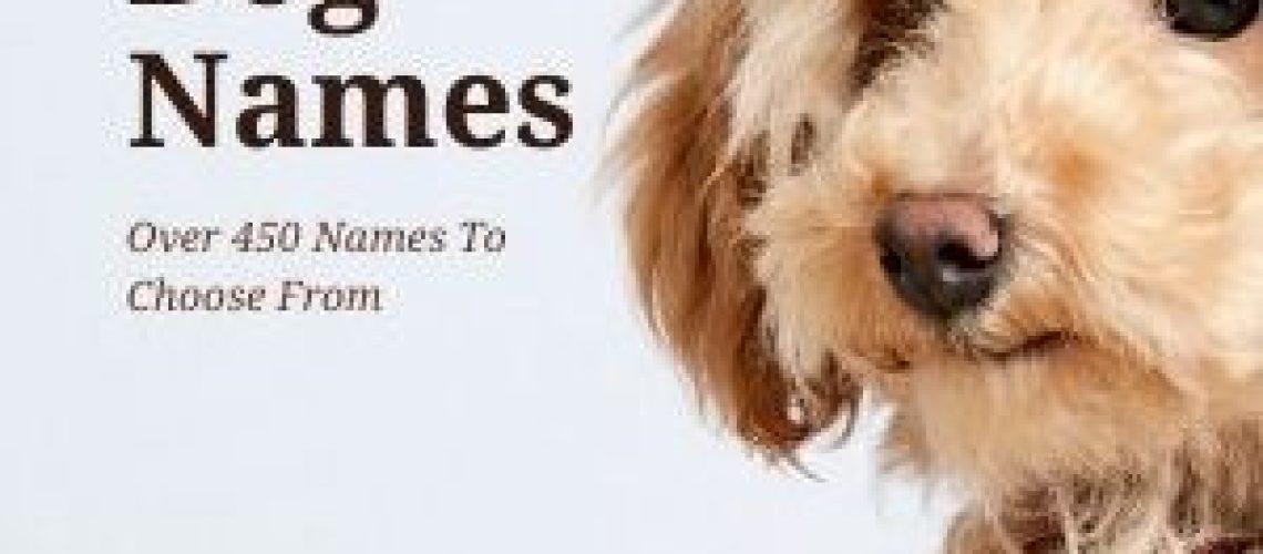 French Dog Names-WildCreaturey