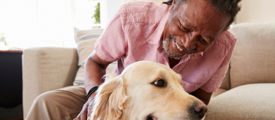 The Best Pets for Seniors