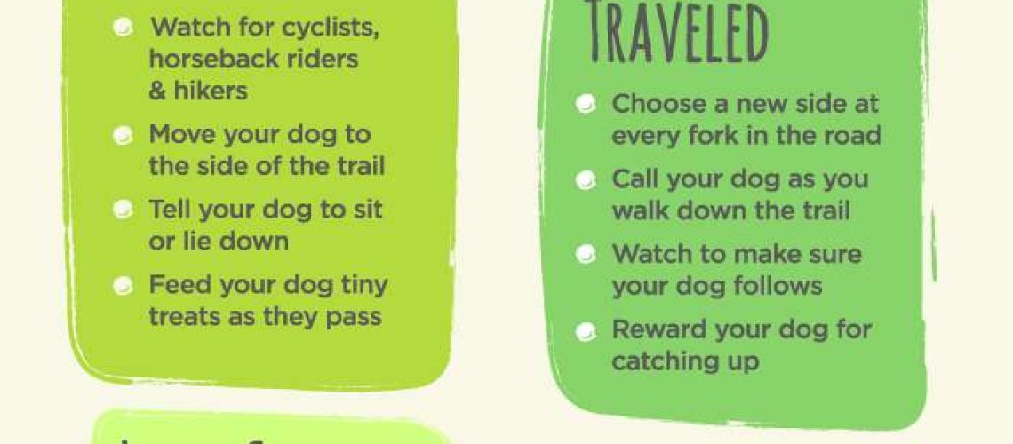 Great Ways to Exercise With Your Dog-WildCreaturey