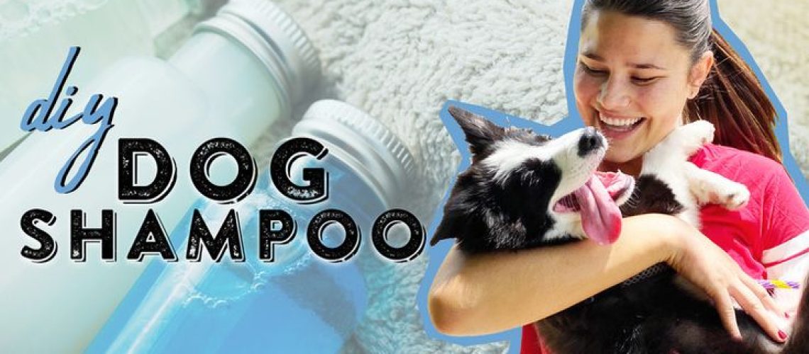 Homemade Dog Shampoo Is Our Newest DIY Obsession-WildCreaturey