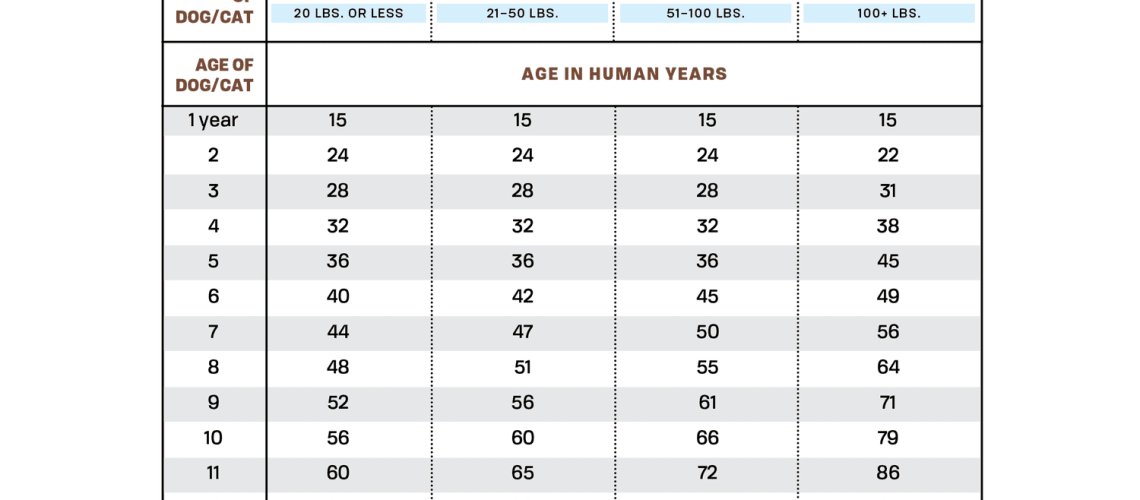 How Old Is Your Dog in Human Years?-WildCreaturey