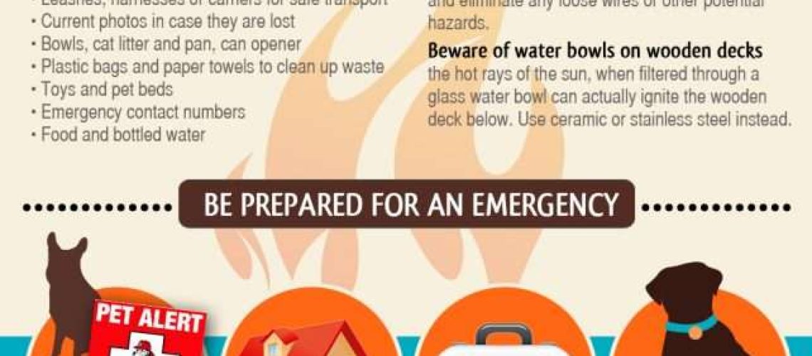 How To Keep Your Pet Safe During a Fire-WildCreaturey