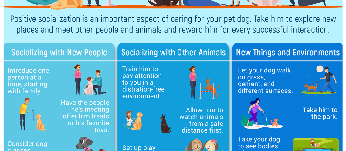 How to Socialize Your Dog or Puppy-WildCreaturey