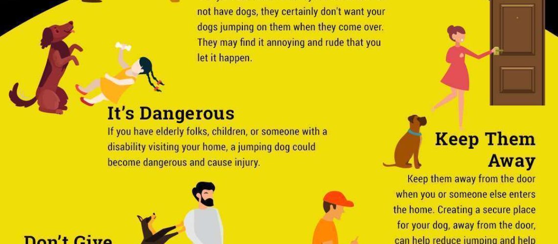 How to Stop Your Dog From Jumping Up-WildCreaturey