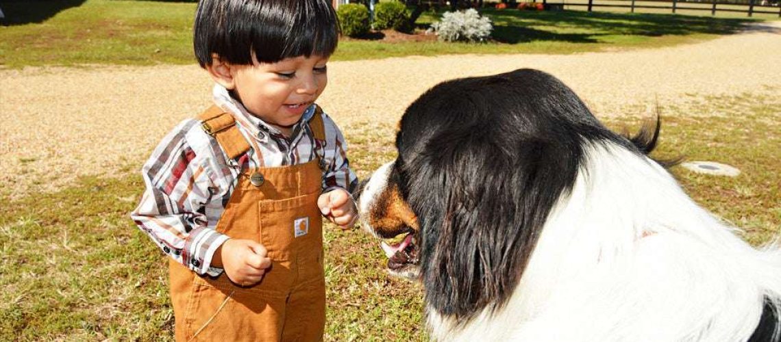 How to Train Your Dog to Safely Interact With Kids-WildCreaturey