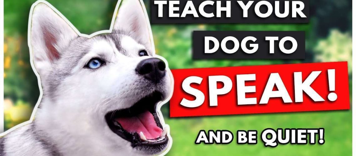 How to Train Your Dog to Speak or Be Quiet-WildCreaturey