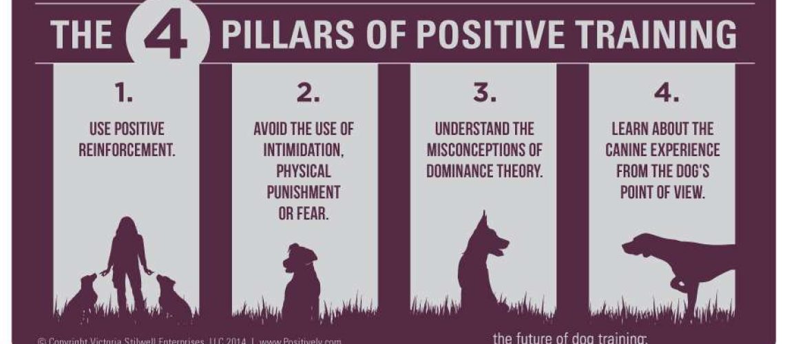 How to Use Positive Reinforcement to Train Your Dog-WildCreaturey