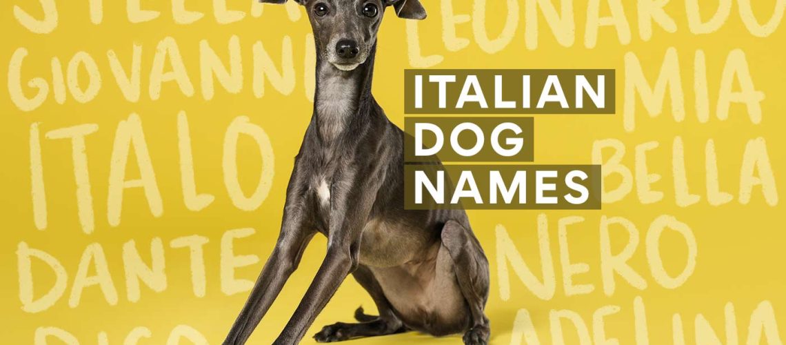 Italian Dog Names-WildCreaturey