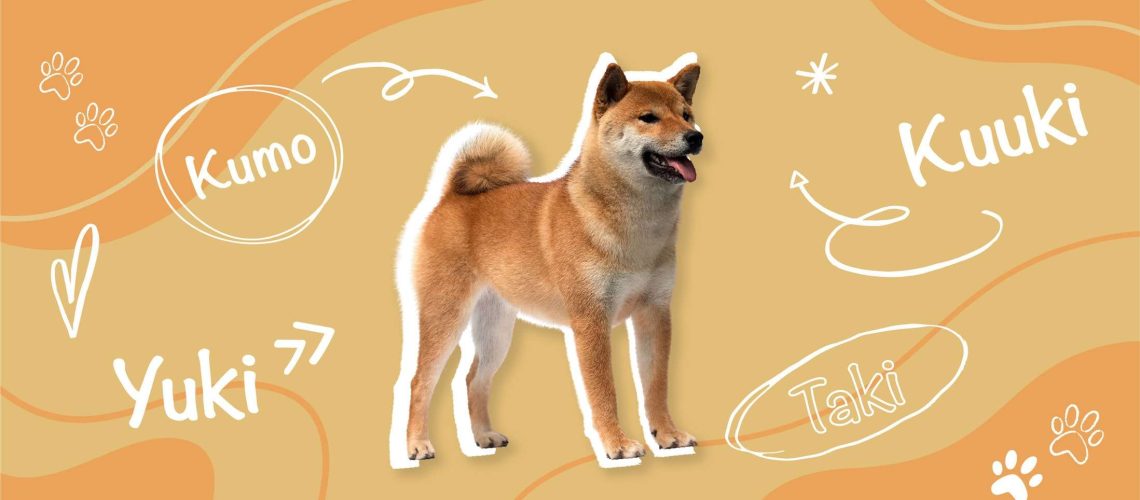 Japanese Dog Names-WildCreaturey