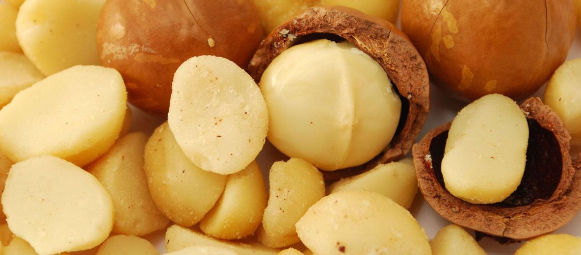 Macadamia Nuts and other Nuts That Are Toxic to Dogs-WildCreaturey