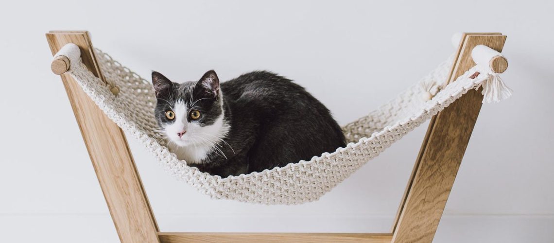 MakaArt-Crafts-cat-hammock-banner