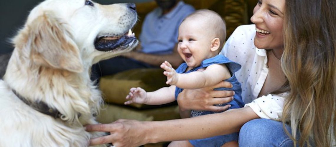 Puppy and Baby Introductions-WildCreaturey