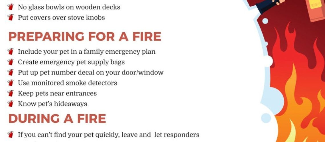 Safety First: Protecting Your Pet from Fires