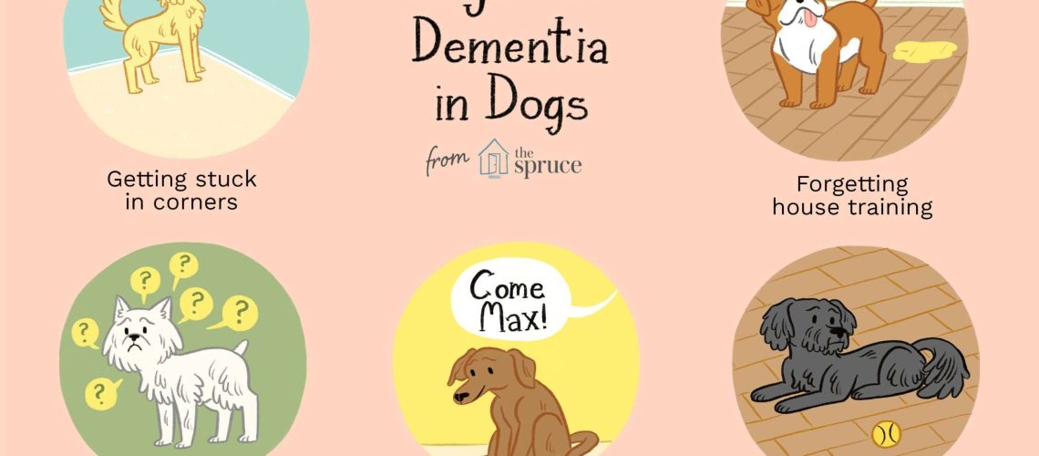 Senior Dementia in Dogs-WildCreaturey