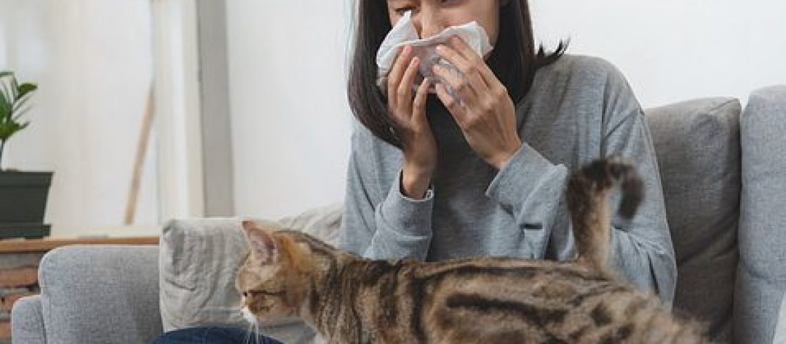 Sniffles and Sneezes: Unraveling Cat Allergies