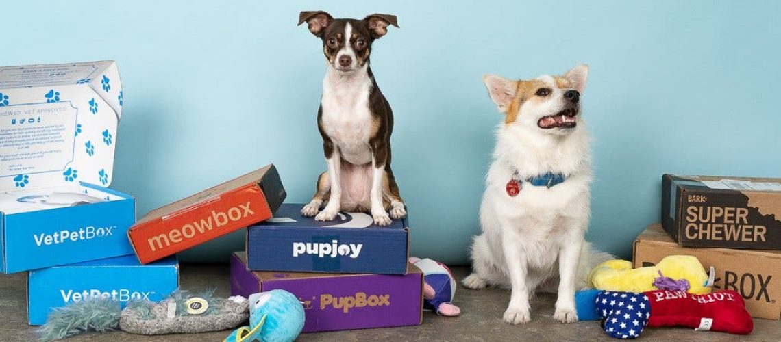 The Best Dog Subscription Boxes-WildCreaturey