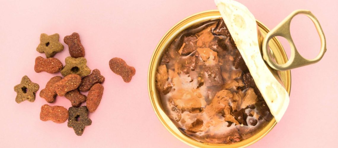 The Pros and Cons of Mixing Wet and Dry Dog Food-WildCreaturey