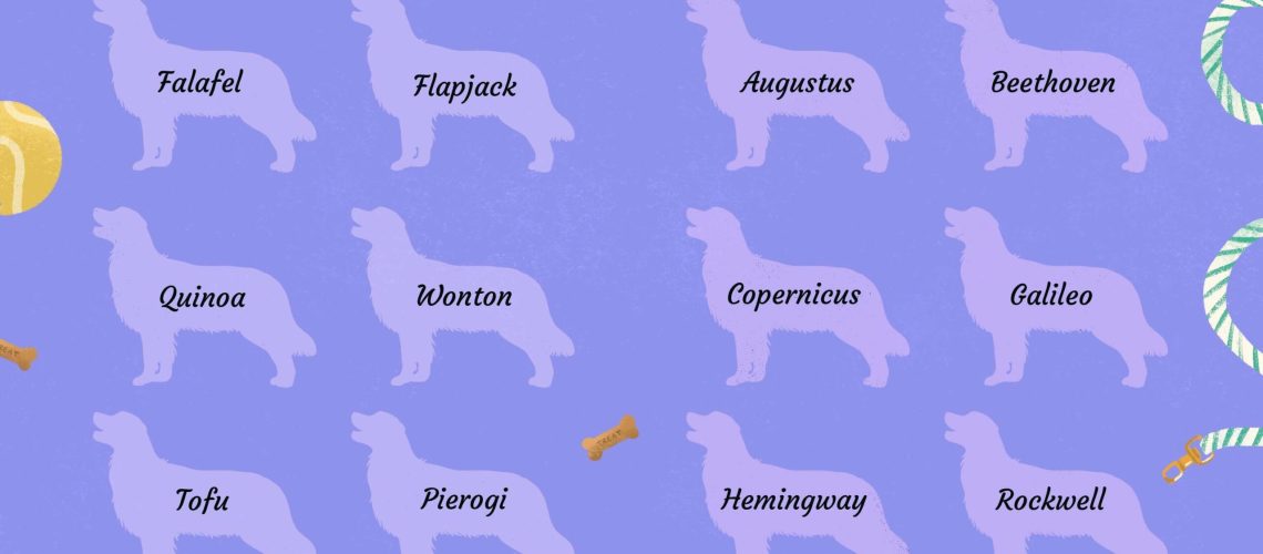 Best of the Finest Fancy Dog Names-WildCreaturey