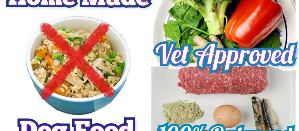 Vet-Approved Homemade Dog Food Recipes-WildCreaturey