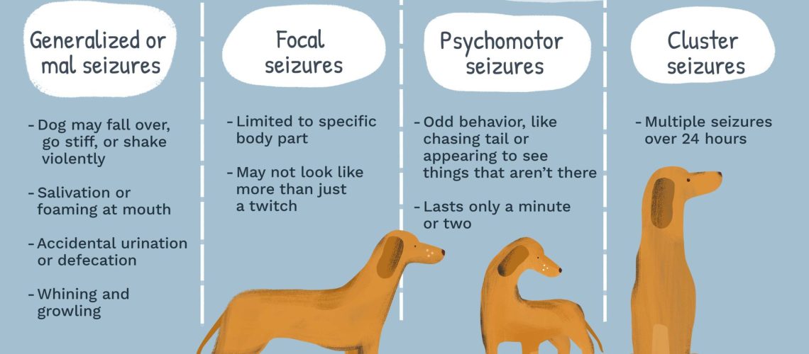 Seizures in Dogs-WildCreaturey