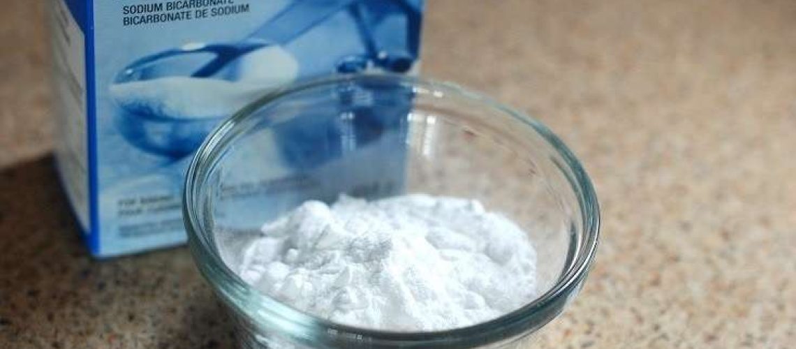 What to Do If Your Dog Eats Baking Soda-WildCreaturey