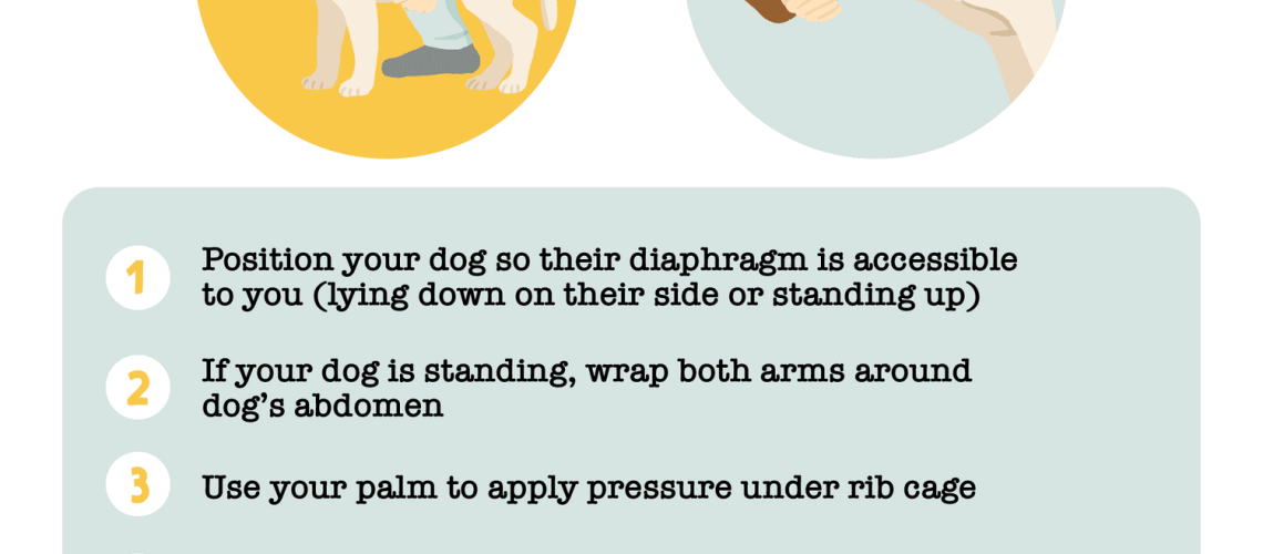 What to Do If Your Puppy is Choking-WildCreaturey