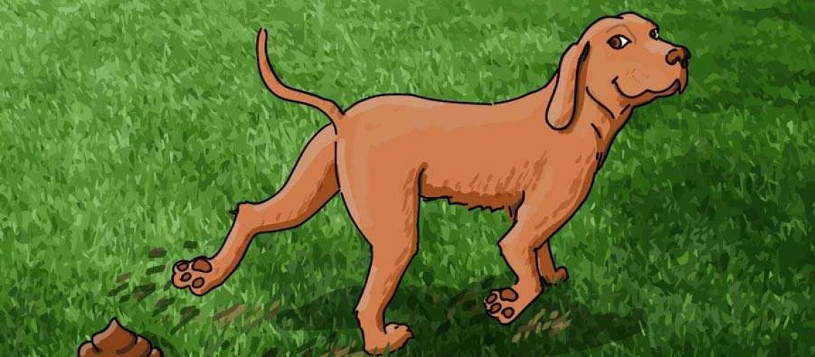 Why Do Dogs Kick After They Poop?-WildCreaturey