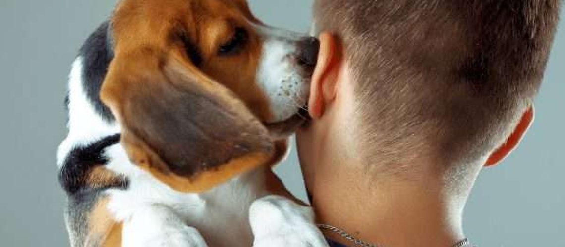 Why Does My Dog Lick My Ears?-WildCreaturey