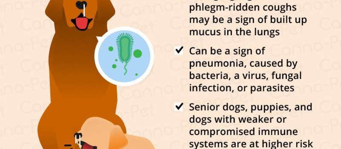 Why Is My Dog Coughing?-WildCreaturey