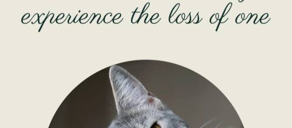 Heartfelt Paws: Helping Cats Cope with Pet Loss