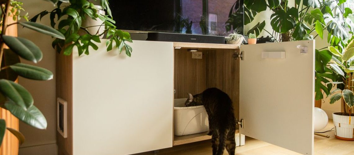 Hide 'n' Seek! Genius Ways to Conceal the Litter Box