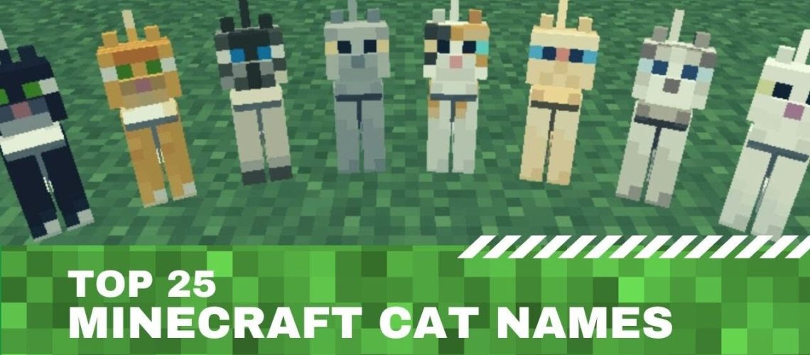 Minecraft Cat Names